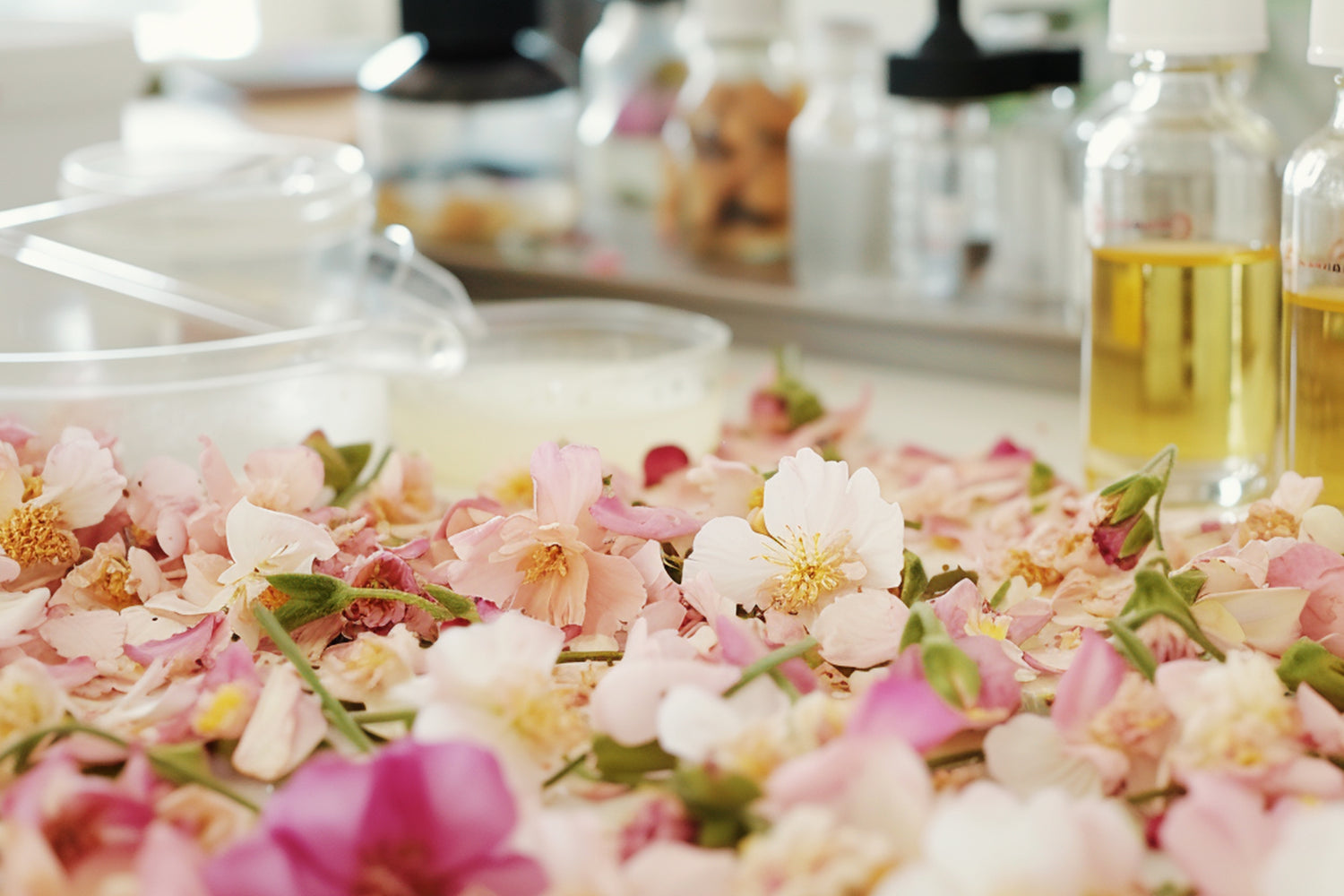 Flower Petals on Table